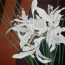 A 83, White Blossom For You, 60 x 60 ohne Rahmen