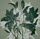A 133, Green Shadow Flowers I, 70 x 70 ohne Rahmen
