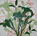 A 134, Green Shadow Flowers II, 70 x 70 ohne Rahmen