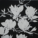 A 146, Black-White Flower, 70 x 70 ohne Rahmen